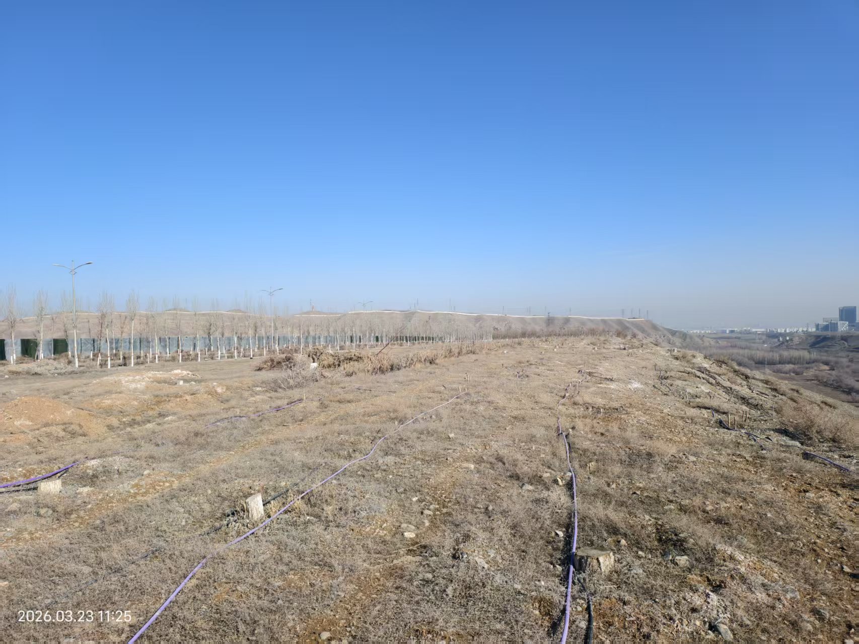 1775018393968362.jpg 1775018393968362.jpg